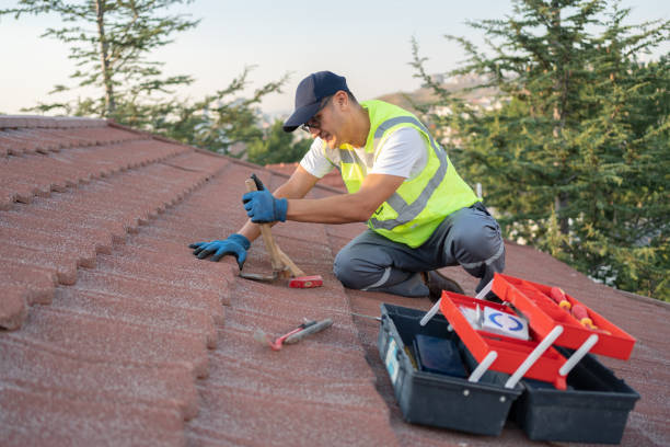 Best Roof Repair Services  in Wahpeton, ND
